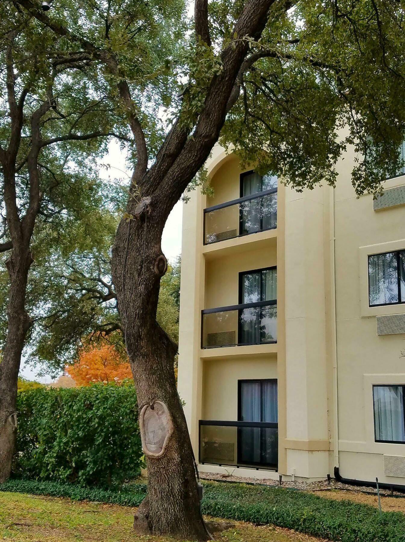 Holiday Inn Irving Las Colinas By Ihg Exteriör bild