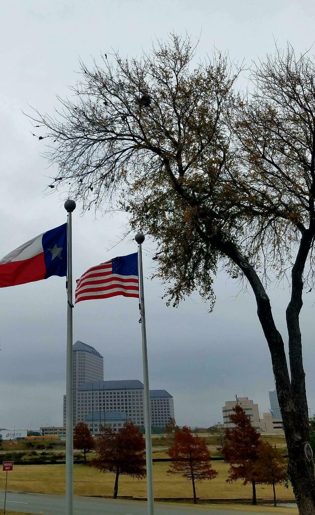 Holiday Inn Irving Las Colinas By Ihg Exteriör bild